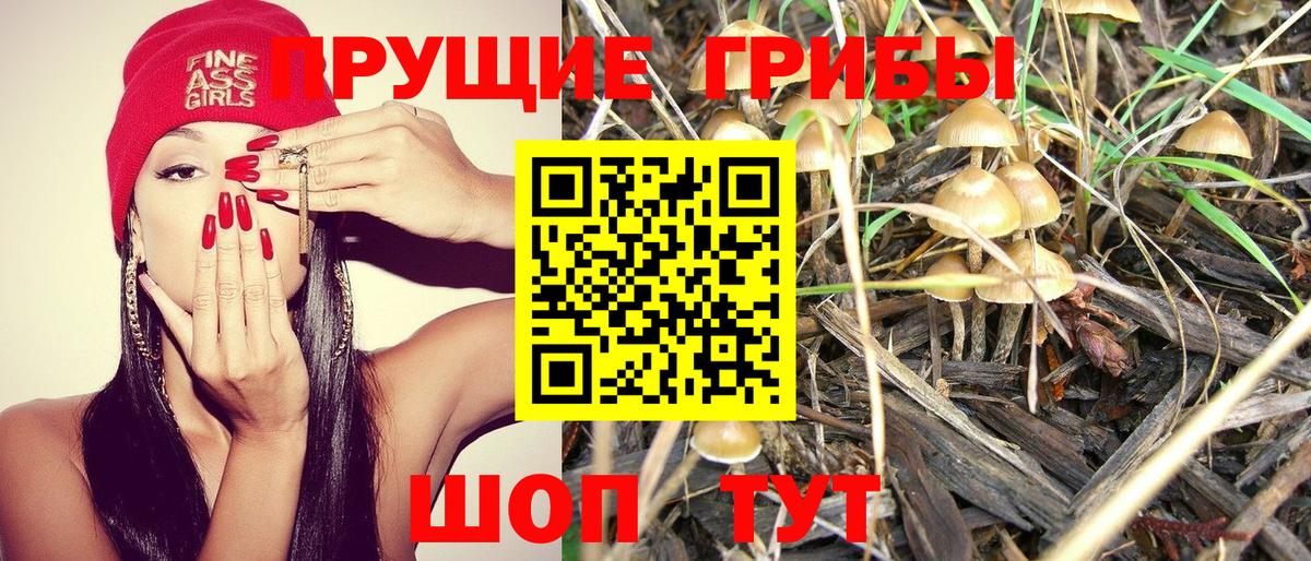 Галлюциногенные грибы Psilocybine cubensis Ялуторовск